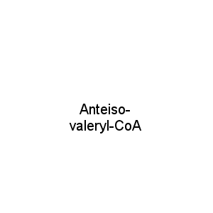 Anteiso-valeryl-CoA
