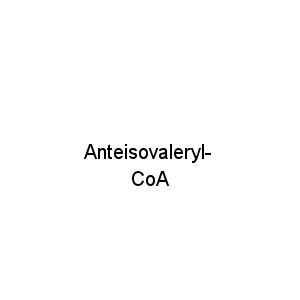 Anteisovaleryl-CoA