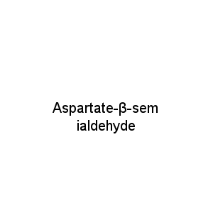 Aspartate-β-semialdehyde