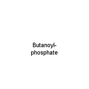 Butanoyl-phosphate