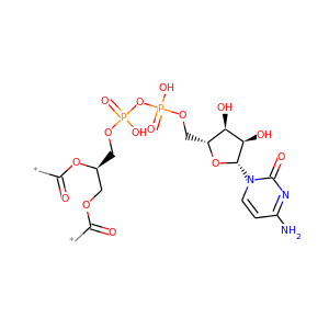 CDP-diacylglycerol