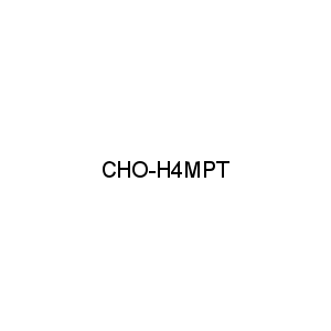 CHO-H4MPT