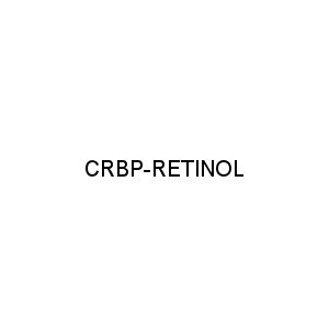 CRBP-RETINOL