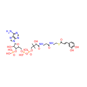Caffeoyl-CoA