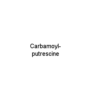 Carbamoyl-putrescine