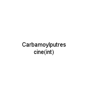 Carbamoylputrescine(int)