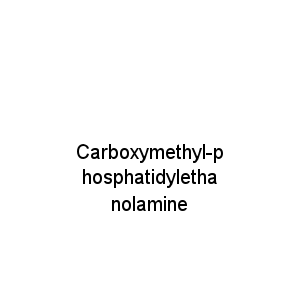 Carboxymethyl-phosphatidylethanolamine