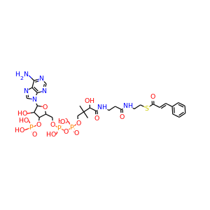 Cinnamoyl-CoA