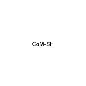 CoM-SH