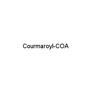 Courmaroyl-COA