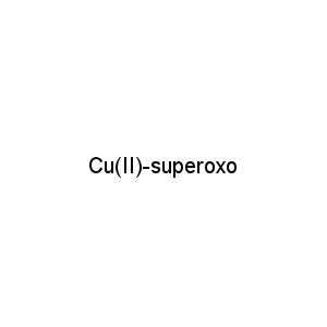 Cu(II)-superoxo