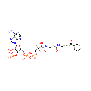 Cyclohexane-1-carboxyl-CoA