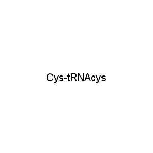Cys-tRNAcys