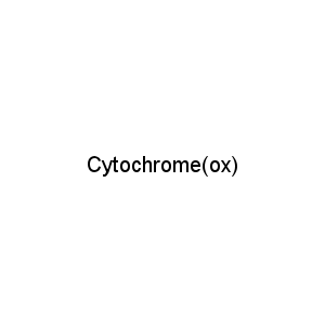 Cytochrome(ox)