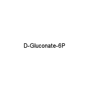 D-Gluconate-6P