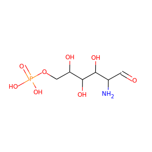 D-Glucosamine-6-P