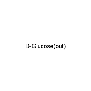D-Glucose(out)