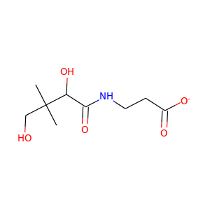 D-Pantothenate