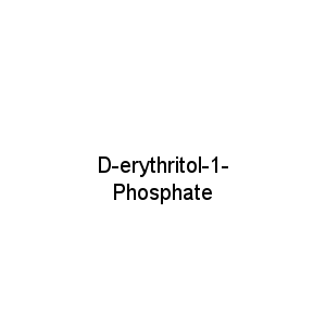 D-erythritol-1-Phosphate