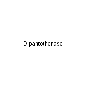 D-pantothenase