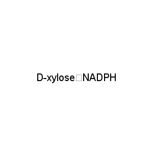 D-xylose＋NADPH