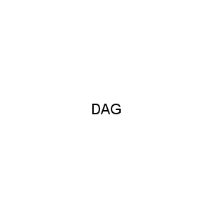DAG