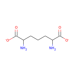 Diaminopimelate