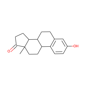 E1