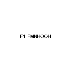 E1-FMNHOOH
