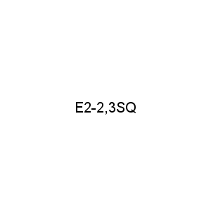 E2-2,3SQ