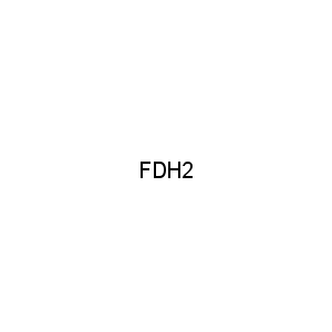 FDH2