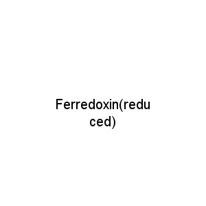 Ferredoxin(reduced)