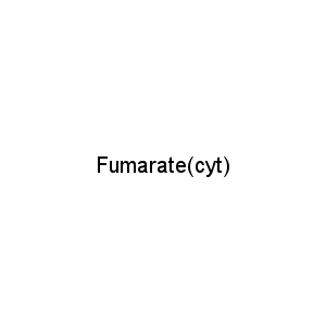 Fumarate(cyt)