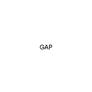 GAP