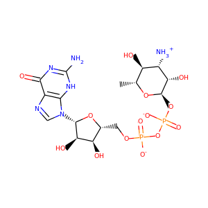 GDP-mycosamine