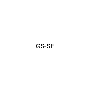GS-SE