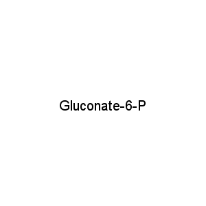 Gluconate-6-P