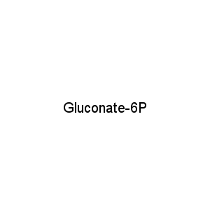 Gluconate-6P