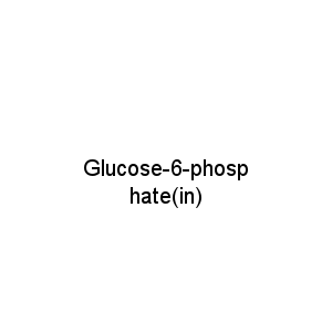 Glucose-6-phosphate(in)