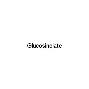 Glucosinolate