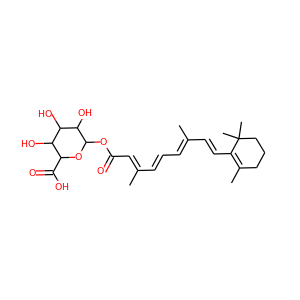 Glucuronide