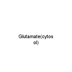 Glutamate(cytosol)