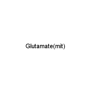 Glutamate(mit)