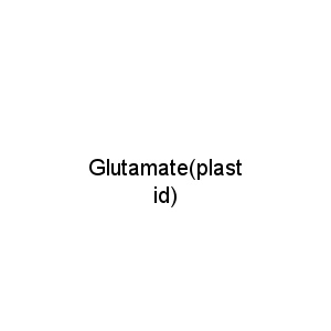 Glutamate(plastid)