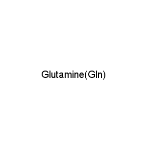 Glutamine(Gln)