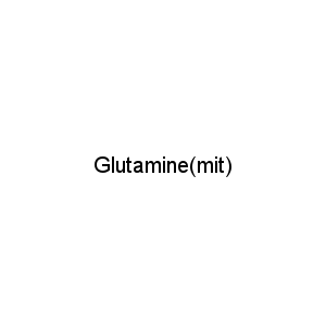 Glutamine(mit)