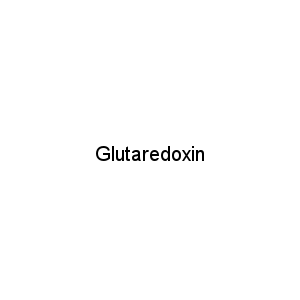Glutaredoxin