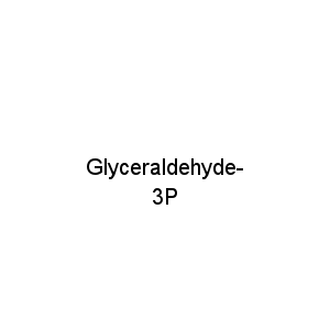 Glyceraldehyde-3P