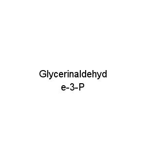 Glycerinaldehyde-3-P