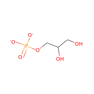 Glycerol-3P